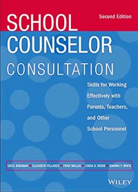 School Counselor Consultation