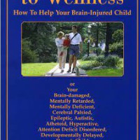 The Pathway to Wellness : How to Help your Brain-Injured Children