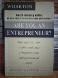 Are You An Entepreuner : Tips, Quizzes,case,studies and tests to improve your entrepreneurial skills