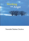 Working with Anger